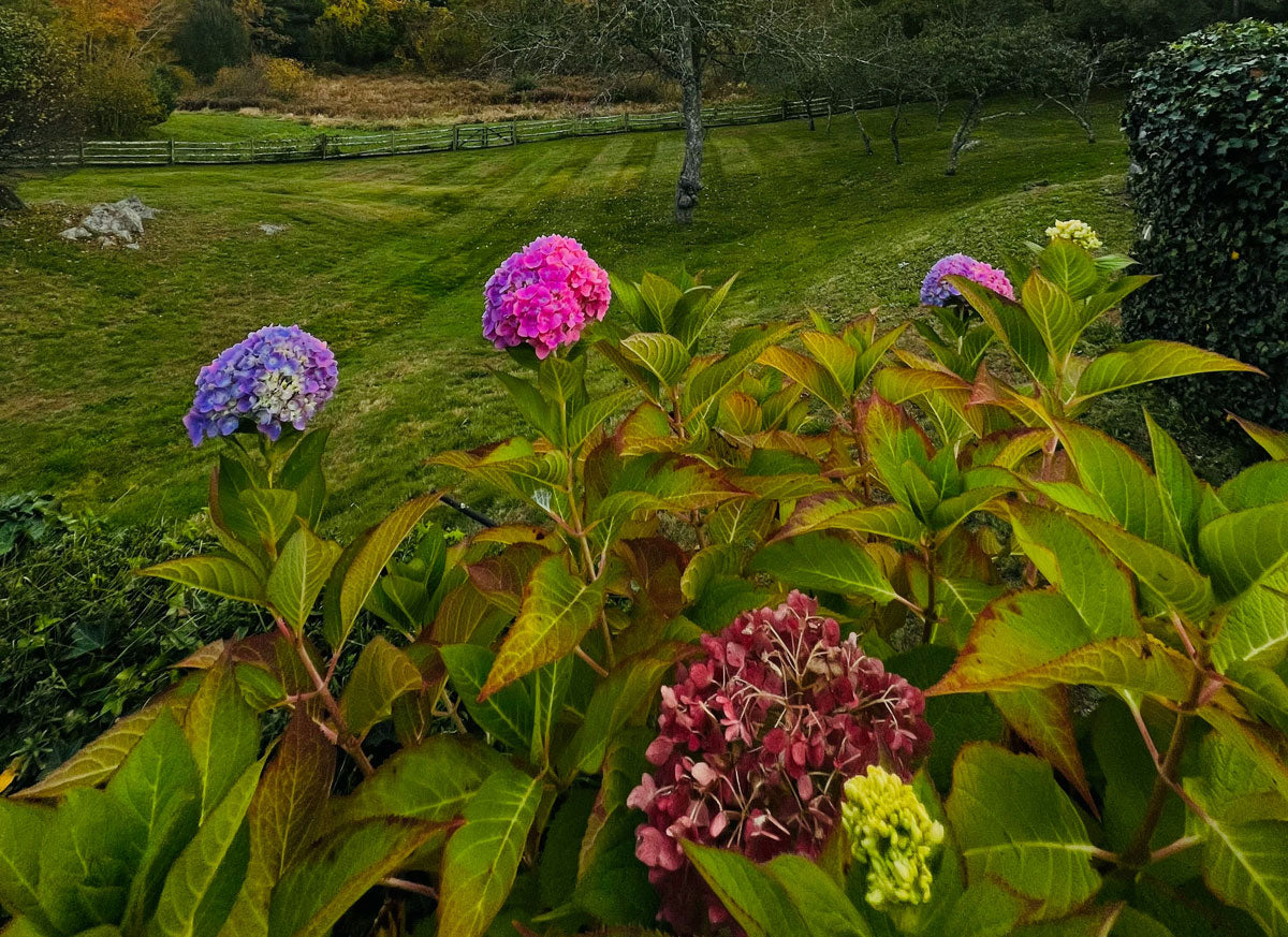 Three Top Outdoor Lighting Ideas for Summer with Barrett Castle Lighting