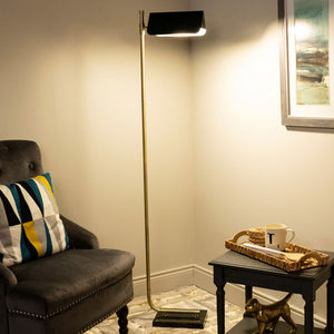Contemporary Brass and Black Metal Floor Lamp