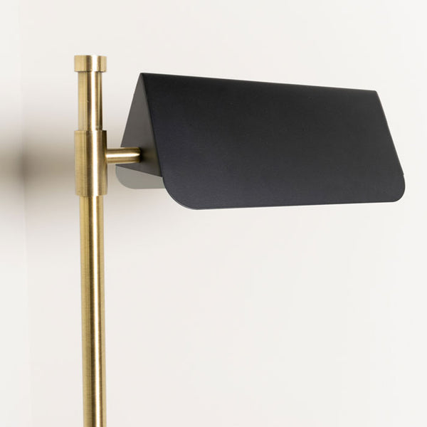 Contemporary Brass and Black Metal Floor Lamp
