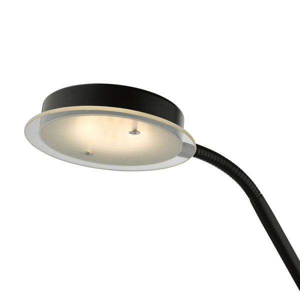 Matt Black LED Mother & Child Floor Lamp