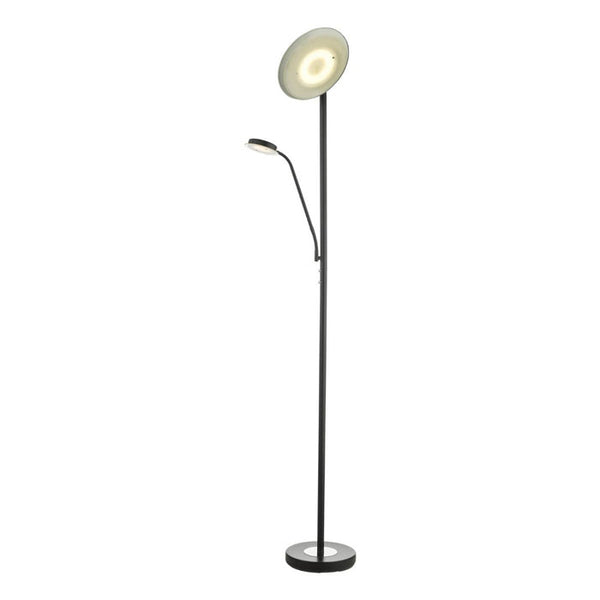 Matt Black LED Mother & Child Floor Lamp